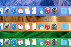 Dock