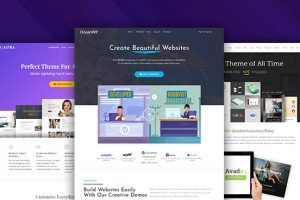 WordPress y sus themes