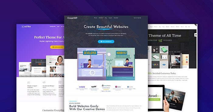 WordPress y sus themes