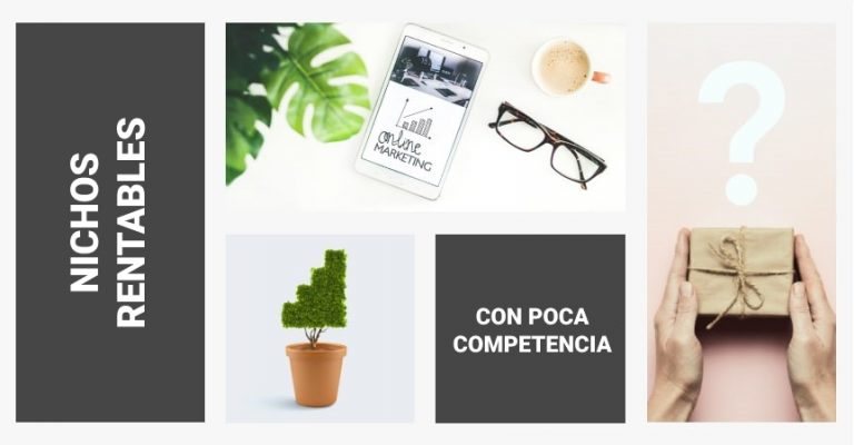 Nicho de baja competencia