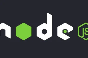 ¿Qué es node?