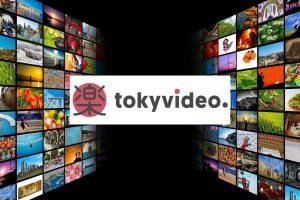Tokyvideo: Tendencia en España 2022