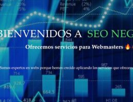 SEO Negocios