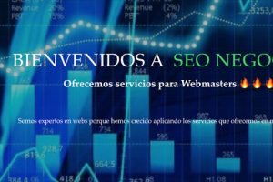 SEO Negocios