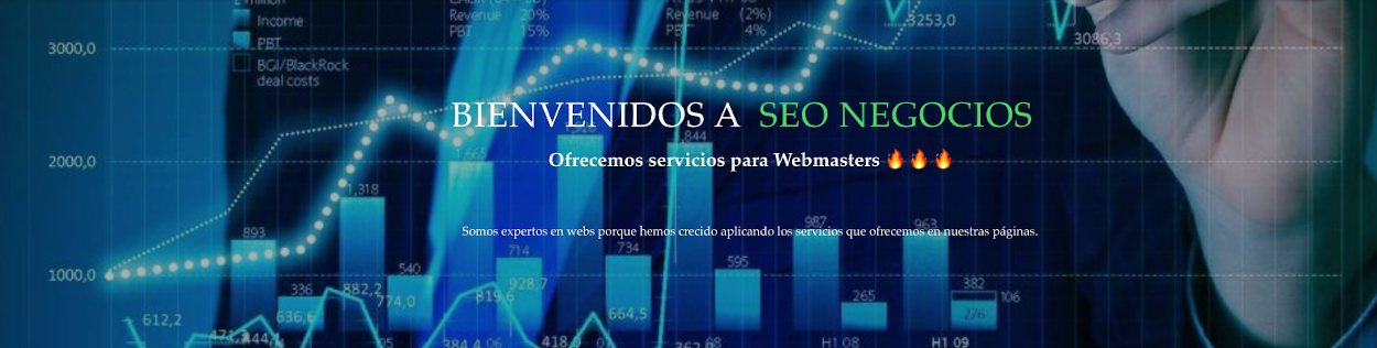 SEO Negocios