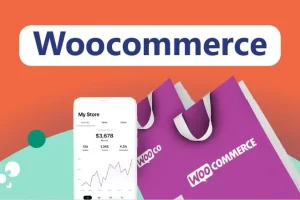 Diseño tienda online Woocommerce