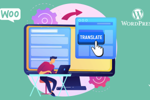 Plugin WordPress traductor